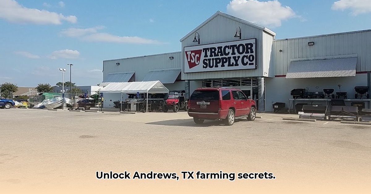 tractor-supply-andrews-texas
